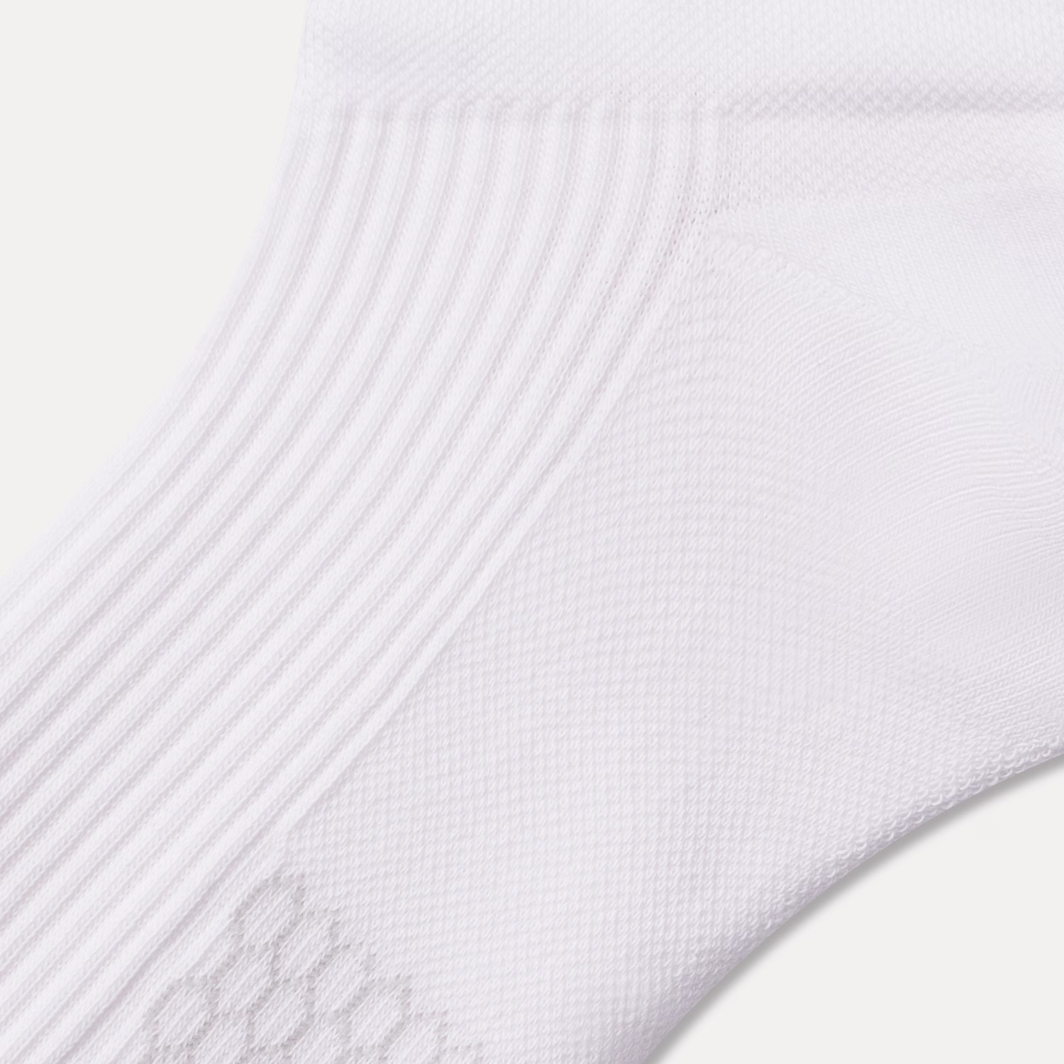 Women's Modern Rib Ankle Sock 8-Pack